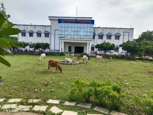गौवंश का आत्मनिर्भर भारत मिशन: अब खुद ही करेंगे चारा-पानी का इंतज़ाम