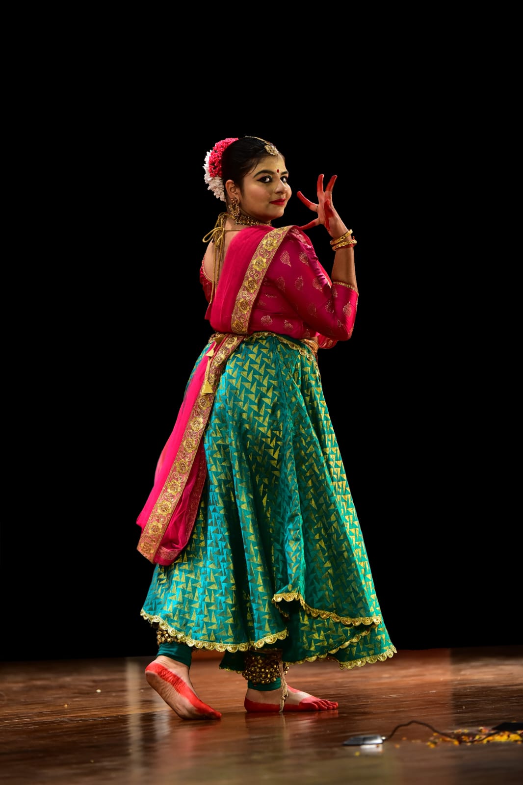 संस्कृति विभाग द्वारा पावस प्रसंग का आयोजन २ से 6 सितंबर तक 