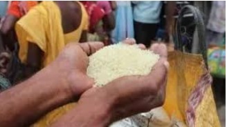 पीडीएस घोटाला : 10 जिलों में 115 करोड़ के चावल की अफरातफरी, कोरबा और सरगुजा टॉप पर, विधानसभा जांच समिति सख्त