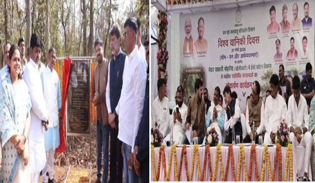 विश्व वानिकी दिवस पर मोहरेंगा नेचर सफारी को नई सौगात  पर्यटन विकास और पर्यावरण संरक्षण को बढ़ावा, स्थानीय रोजगार के अवसर भी बढ़ेंगे