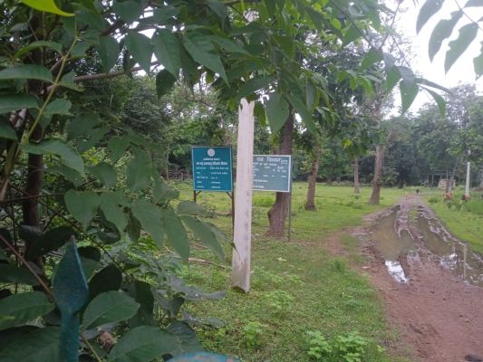 खबर का असर: भ्रष्टाचार की शिकायत पर कार्रवाई  वनरक्षक मनबोधन टंडन धाराशिव अस्थायी रोपणी से हटाए गए