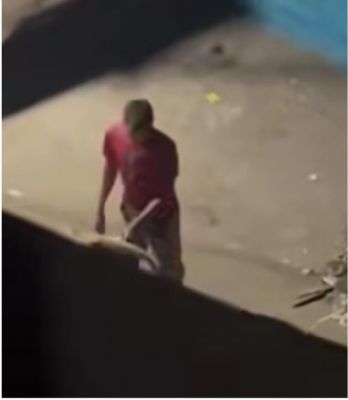 रायपुर में इंसानियत शर्मसार: गाय के साथ अमानवीय कृत्य करने वाला युवक गिरफ्तार