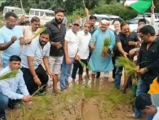 सड़क पर गड्ढे-दलदल,धान की रोपाई कर विरोध प्रदर्शन