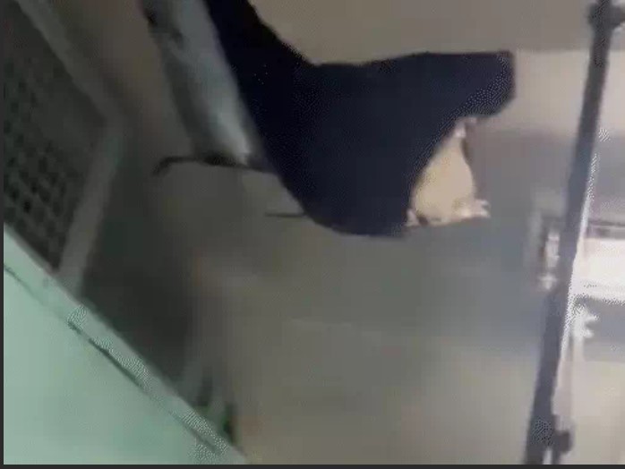 अमरनाथ जा रहे BSF जवानों को खस्ताहाल ट्रेन मिली:सीटों पर गद्दी नहीं, टॉयलेट टूटा, कॉकरोच थे;