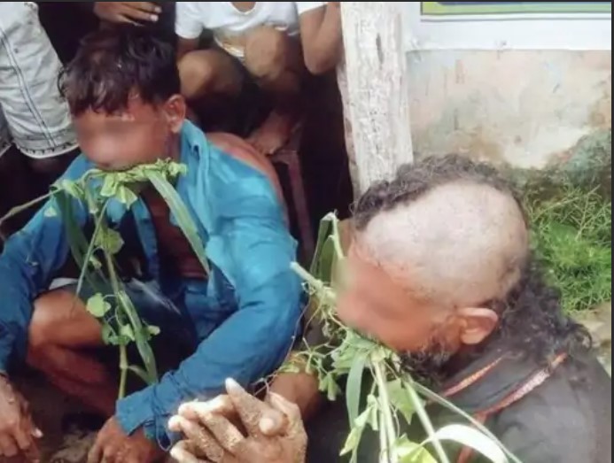 ओडिशा में 2 युवकों का आधा सिर मूंडा, घास खिलाई