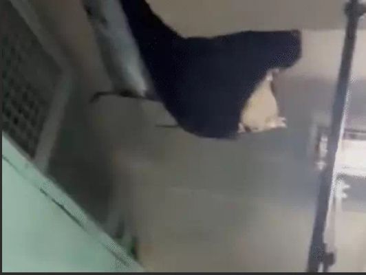 अमरनाथ जा रहे BSF जवानों को खस्ताहाल ट्रेन मिली:सीटों पर गद्दी नहीं, टॉयलेट टूटा, कॉकरोच थे;