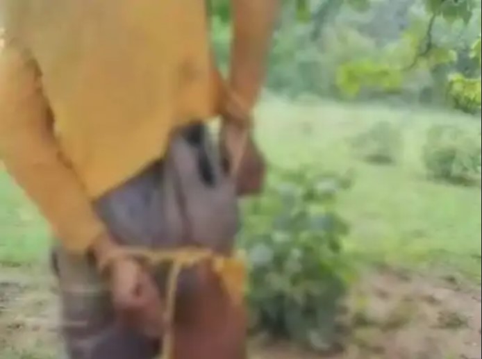 कोरबा में पेड़ से लटकी मिली युवक की लाश