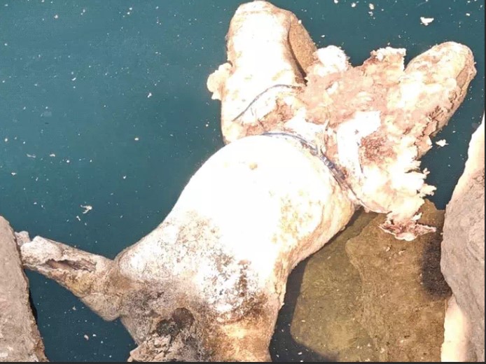 रायपुर के माना इलाके में मिली सिर कटी लाश