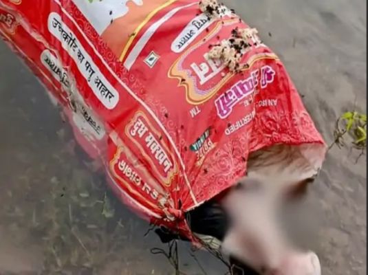 रायपुर में बोरी के अंदर मिली सड़ी-गली लाश