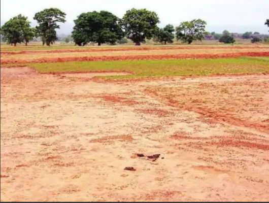 रायपुर में कारोबारी से 11 करोड़ की ठगी