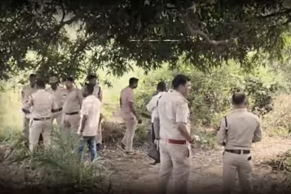 दुर्ग-बलरामपुर के बाद अब रायगढ़ में अफीम की खेती का भंडाफोड़,  तमनार के आमाघाट में एक एकड़ खेत से खुलासा