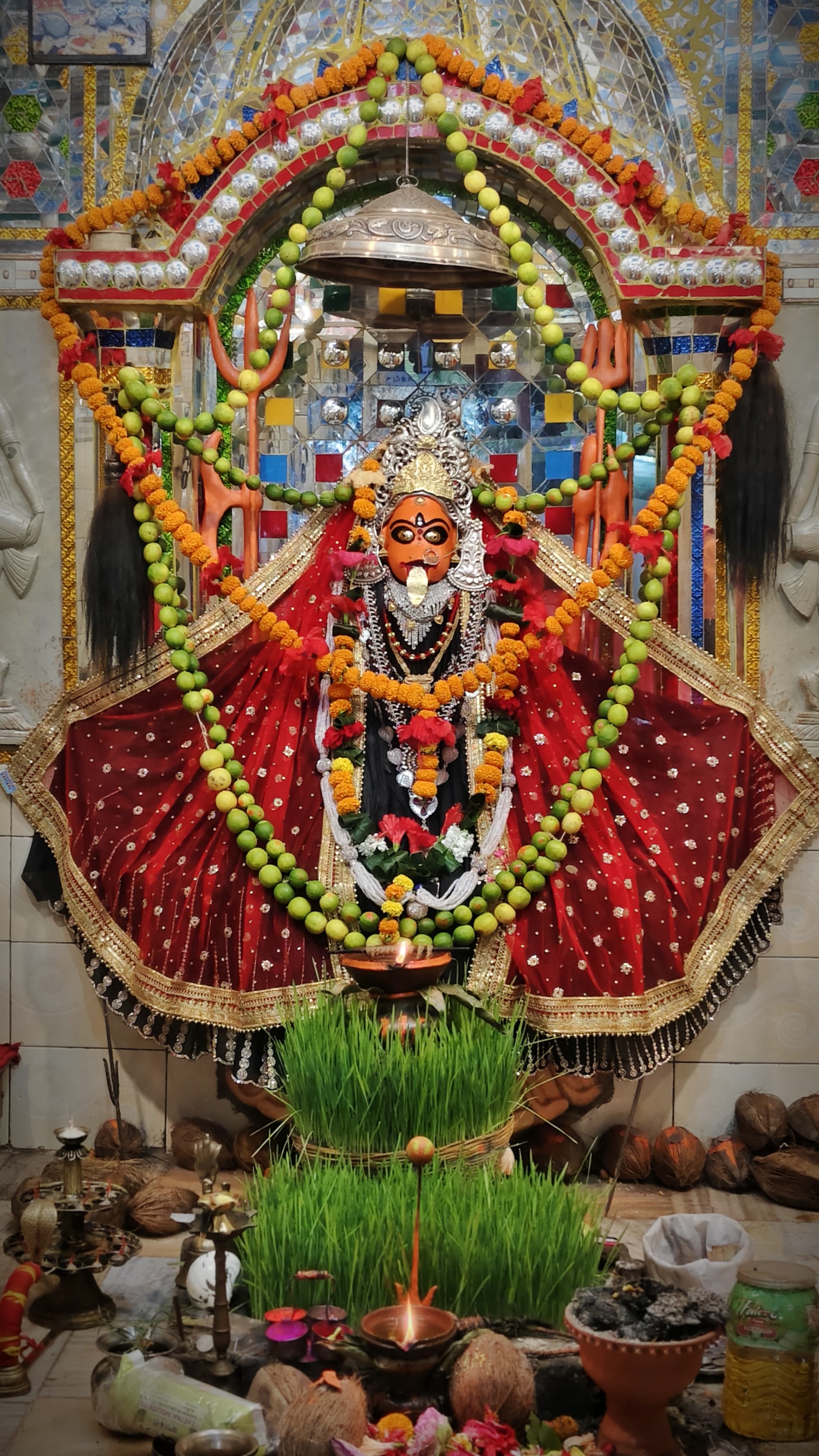 मुंगेली में जवारा विसर्जन आज 01 अक्टूबर को, मंदिरों में उमड़ा भक्तों का सैलाब