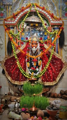 मुंगेली में जवारा विसर्जन आज 01 अक्टूबर को, मंदिरों में उमड़ा भक्तों का सैलाब