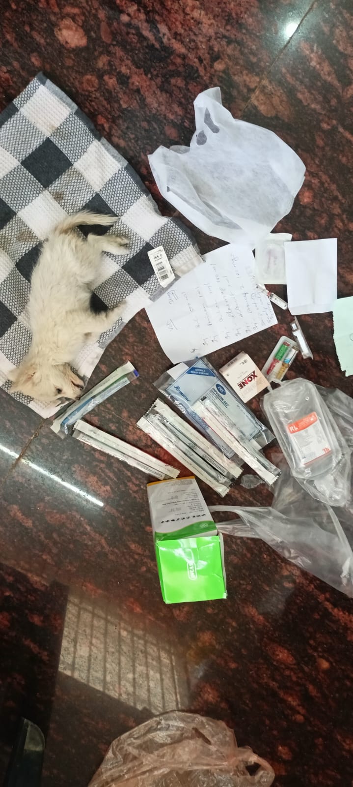 डांक्टरों की लापरवाही के चलते मासूम पामेलियांन डांग की हुई मौत ! ------------ डांक्टरों की टीम के सामने मासूम डांग तड़फता रहा ,डांक्टर रहे मदमस्त।