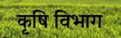 राष्ट्रीय खाद्य तेल मिशन के क्रियान्वयन के लिए वैल्यू चैन पार्टनर का किया जाएगा चयन  किसान उत्पादक संगठन या सहकारी समिति कर सकते हैं आवेदन