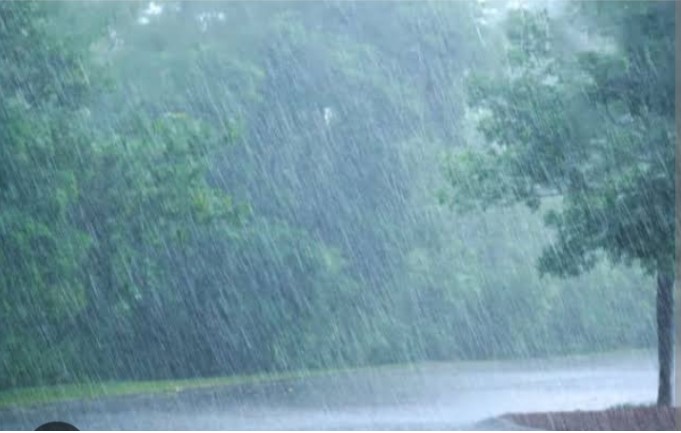 जिले में अब तक 293.6 मि.मी. औसत वर्षा दर्ज