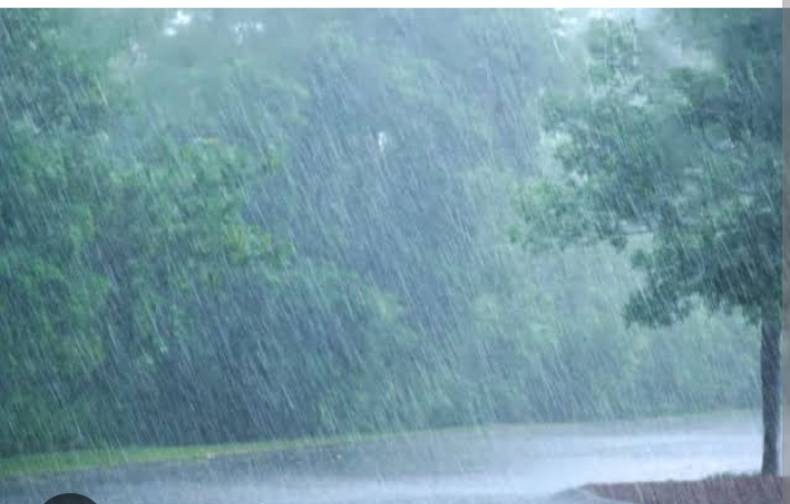 जिले में अब तक 345.6 मि.मी. औसत वर्षा दर्ज