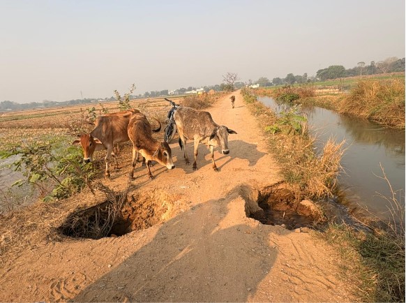 करनौद माइनर नहर टूटी, बंसुला मार्ग पर आवागमन बांधित &mdash;करना पड़ रहा 10km कि अतिरिक्त सफर जनता परेशान