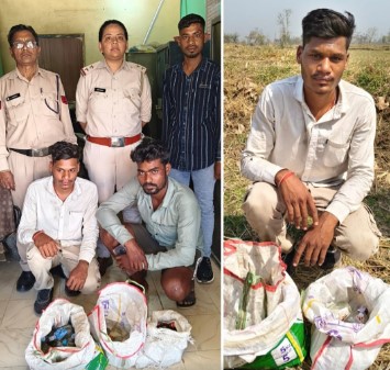 मुंगेली में आबकारी विभाग की ताबड़तोड़ कार्रवाई, अवैध शराब के साथ तीन आरोपी गिरफ्तार