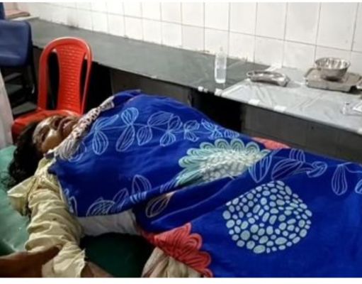 बलरामपुर जिले में दंतैल हाथी के हमले से 2 लोगों की मौत