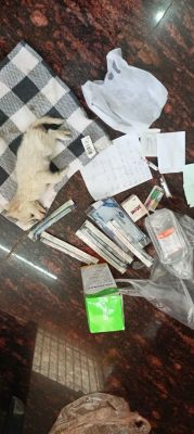 डांक्टरों की लापरवाही के चलते मासूम पामेलियांन डांग की हुई मौत ! ------------ डांक्टरों की टीम के सामने मासूम डांग तड़फता रहा ,डांक्टर रहे मदमस्त।