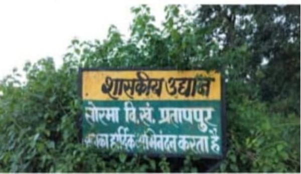 ,,राष्ट्रीय बागवानी मिशन,, प्रतापपुर की मॉडल नर्सरी बदहाल हाल में। भ्रष्टाचार की भेट चढ़ा।