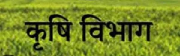 राष्ट्रीय खाद्य तेल मिशन के क्रियान्वयन के लिए वैल्यू चैन पार्टनर का किया जाएगा चयन  किसान उत्पादक संगठन या सहकारी समिति कर सकते हैं आवेदन