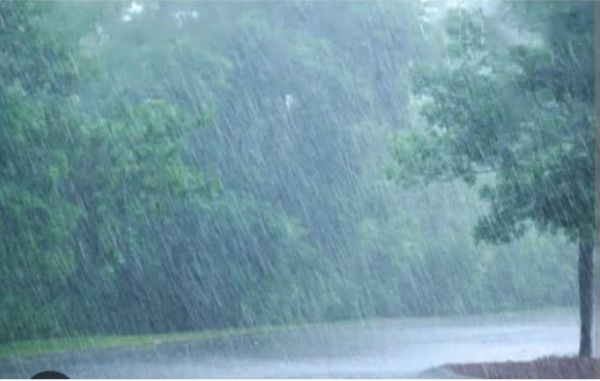 जिले में अब तक 293.6 मि.मी. औसत वर्षा दर्ज