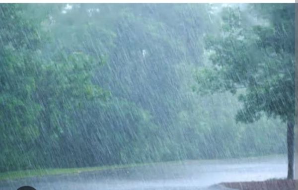 जिले में अब तक 345.6 मि.मी. औसत वर्षा दर्ज