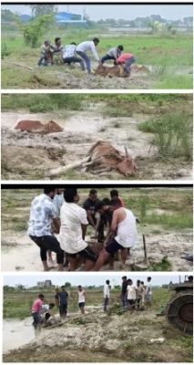 चांपा और आसपास का क्षेत्र बना मवेशियों का कब्रगाह   भू माफियाओं की अवैध राखड़ डंपिंग बनी मवेशियों के लिए जानलेवा