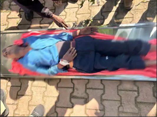 कोरिया में मधुमक्खियों के काटने से कॉलरी-कर्मी ​​​​​​​की मौत