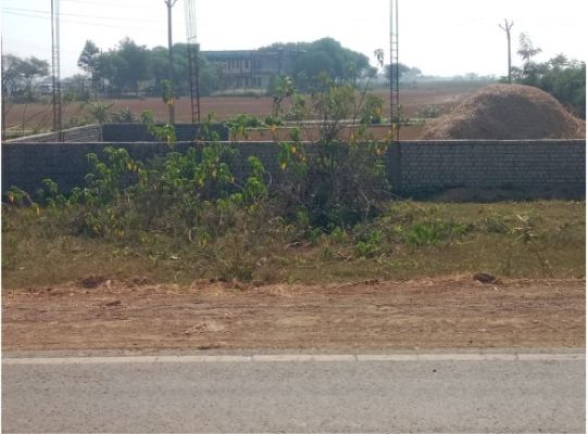 जिला जांजगीर चांपा कलेक्टर के सख्त निर्देश कलेक्टर श्री जन्मेजय महोबे ने धान खरीदी के संबंध में समीक्षा बैठक ली, सतर्कता और नियमित निरीक्षण के दिए निर्देश