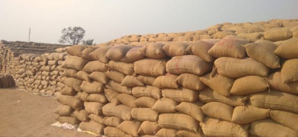 धान खरीदी केंद्र बिलाईगढ में बम्फर आवक उठाव नहीं होने से समिति चिंतित 