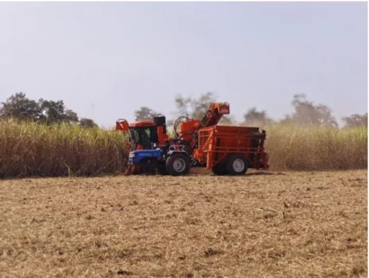 दुधली के गन्ना उत्पादक किसान प्रेमशंकर देशमुख ने अपनी खुशी   जाहिर करते हुए जताया आभार