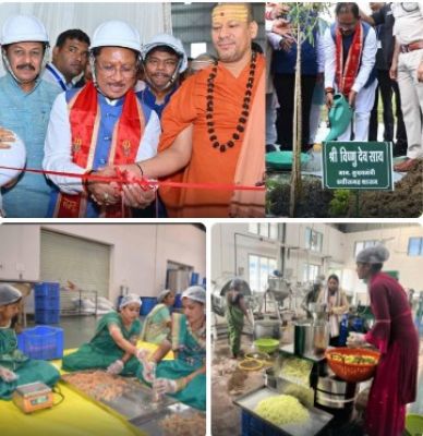हरा सोना , नई उड़ान वनोपज से आत्म-निर्भरता की ओर अग्रसर छत्तीसगढ़