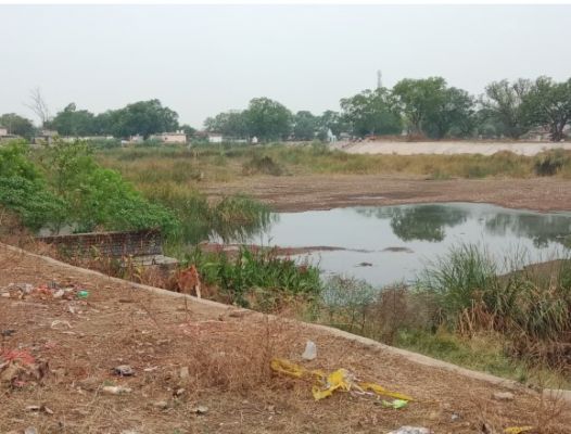 नवागढ़ नगर पंचायत में तालाब सफाई के नाम पर बड़ा खेल! 