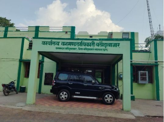 25 पेड़ दिखे या 250 छिपा दिए गए? धमनी जंगल में सागौन संहार पर रेंजर की जांच कटघरे में  250 से ज्यादा ठूंठ मैदान में, रिपोर्ट में सिर्फ 25; कहीं जांच पर 'कमीशन' का असर तो नहीं?