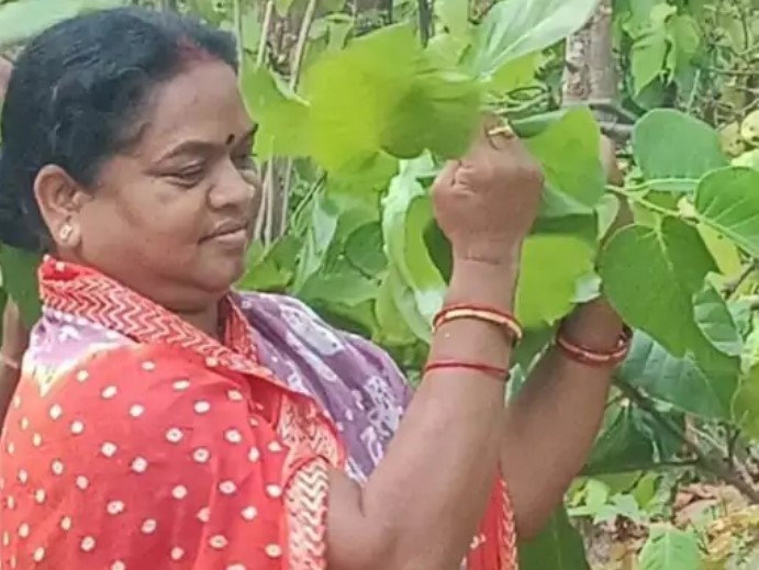 पीसीसी अध्यक्ष रेस के बीच फूलोदेवी की डिनर पॉलिटिक्स: