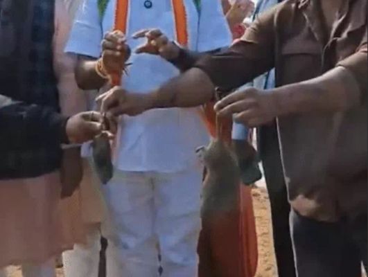 26 करोड़ का धान बर्बाद, बैज ने दिखाया मरा चूहा