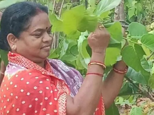 पीसीसी अध्यक्ष रेस के बीच फूलोदेवी की डिनर पॉलिटिक्स: