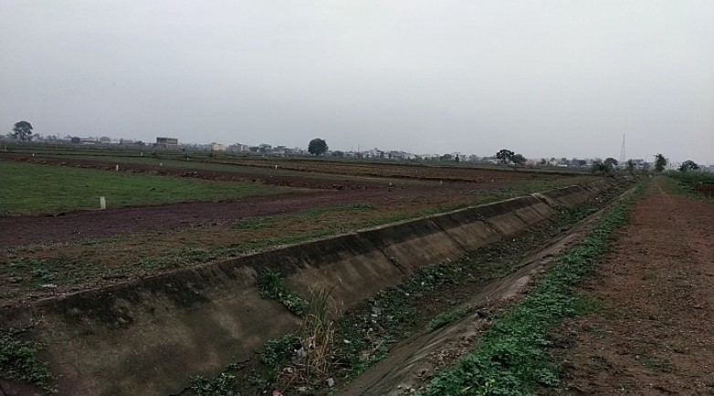 चांपा में हो रहा धड़ल्ले से अवैध प्लाटिंग का कारोबार&hellip;  बिना रेरा, टी.एन.सी.अप्रूवल के हो रहा कृषि भूमि का खरीदी बिक्री&hellip;