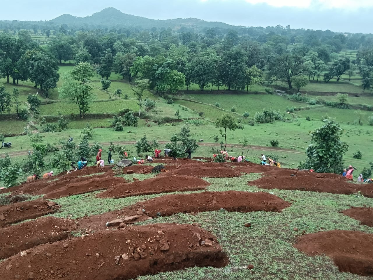 बलौदा की पहाड़ियों पर स्टेगर्ड कंटूर ट्रेंच निर्माण से हरियाली और जल संरक्षण की ओर बढ़ते कदम  मनरेगा के तहत ग्राम पंचायत हेडसपुर के गोसाई पहाड़ में किया जा रहा निर्माण कार्य