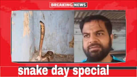 20 साल, ढाई लाख सांपों का रेस्क्यू, कोरबा के अविनाश यादव का सांपों से प्रेम