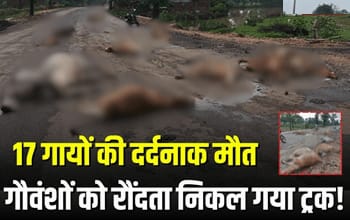 छत्तीसगढ़: सड़क हादसे में 17 गायों की दर्दनाक मौत, प्रशासन पर उठे सवाल&hellip;.