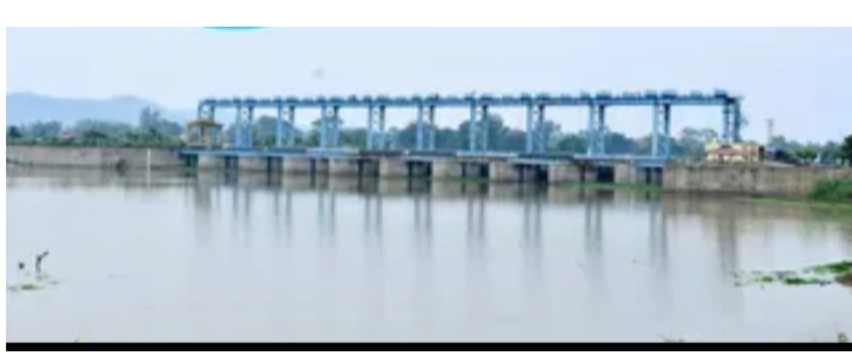 बिलासपुर स्मार्ट सिटी की बड़ी कार्रवाई, 