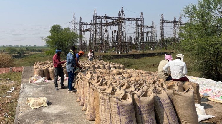 खरीफ विपणन वर्ष 2025-26  जिले में पारदर्शिता, सुगमता एवं पूर्ण निगरानी के साथ धान खरीदी जारी  अब तक 86 हजार 238 क्विंटल से अधिक हुई धान खरीदी