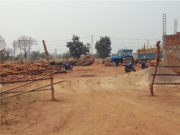 वन विभाग की बड़ी लापरवाही प्रकृति से छेड़छाड़ अंधाधुन लकड़ी कटाई 