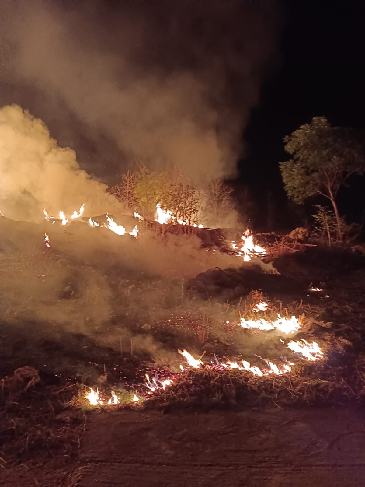 किसान कि जीविक मे आग ! सारंगढ़ वन विभाग की कार्यवाही ने,मशरूम खेती को बनाया राख - किसानों में आक्रोश 