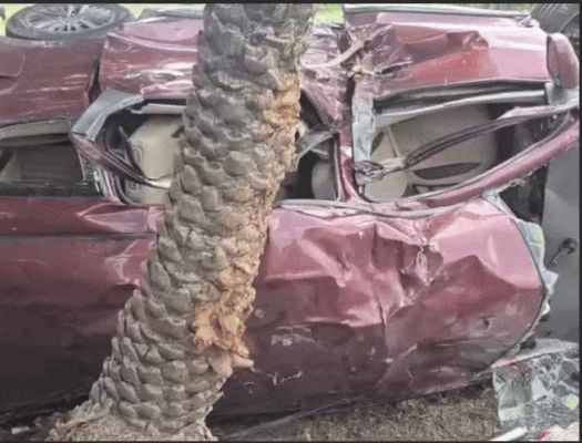 महाकाल दर्शन कर दिल्ली लौट रहे थे 5 दोस्त, एक की मौत; कार के परखच्चे उड़े