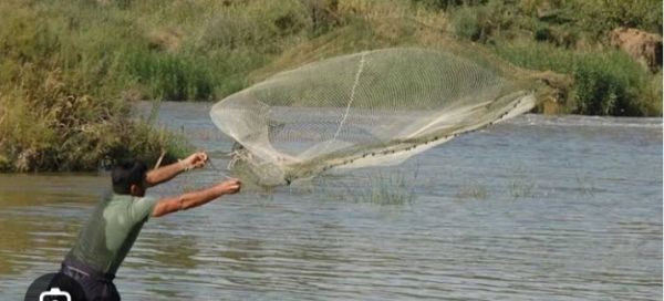 मत्स्याखेट पर 16 जून से 15 अगस्त तक पूर्णतः प्रतिबंधित